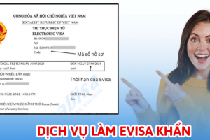 Việc lựa chọn đúng loại visa khẩn cho người nước ngoài sẽ giúp tiết kiệm thời gian và đảm bảo kế hoạch nhập cảnh